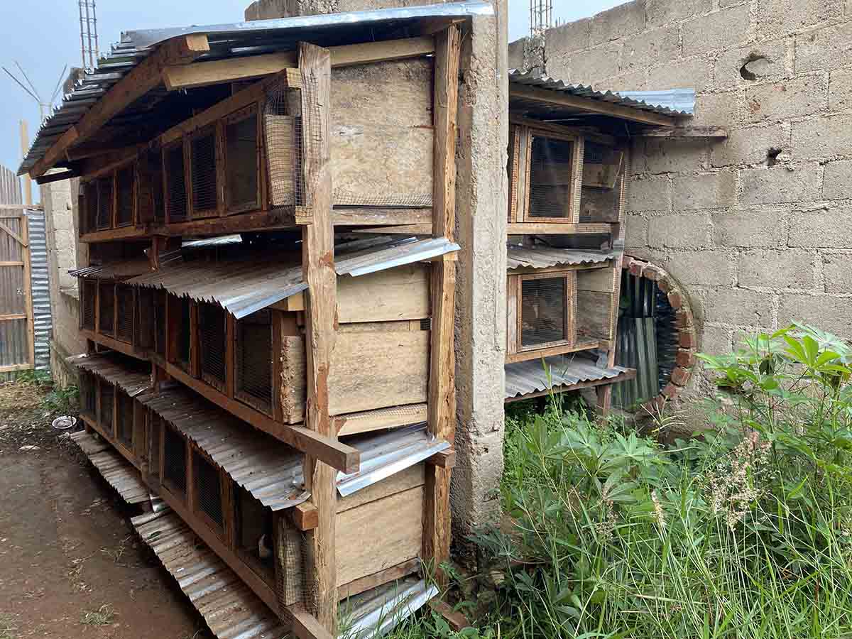 De l’assistance à l’autonomisation : réinsertion, soins et accompagnement psychosocial au cœur de l’action