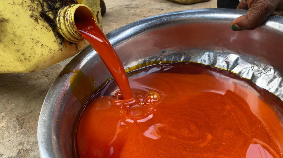 Nord-Kivu : vers un environnement plus sûr pour les victimes d’EAS grâce à une action conjointe HEAL Africa – OMS